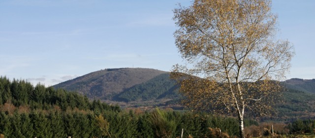 Alambre en Pays de Monédières – Samedi 12 mars sur France Bleu Limousin